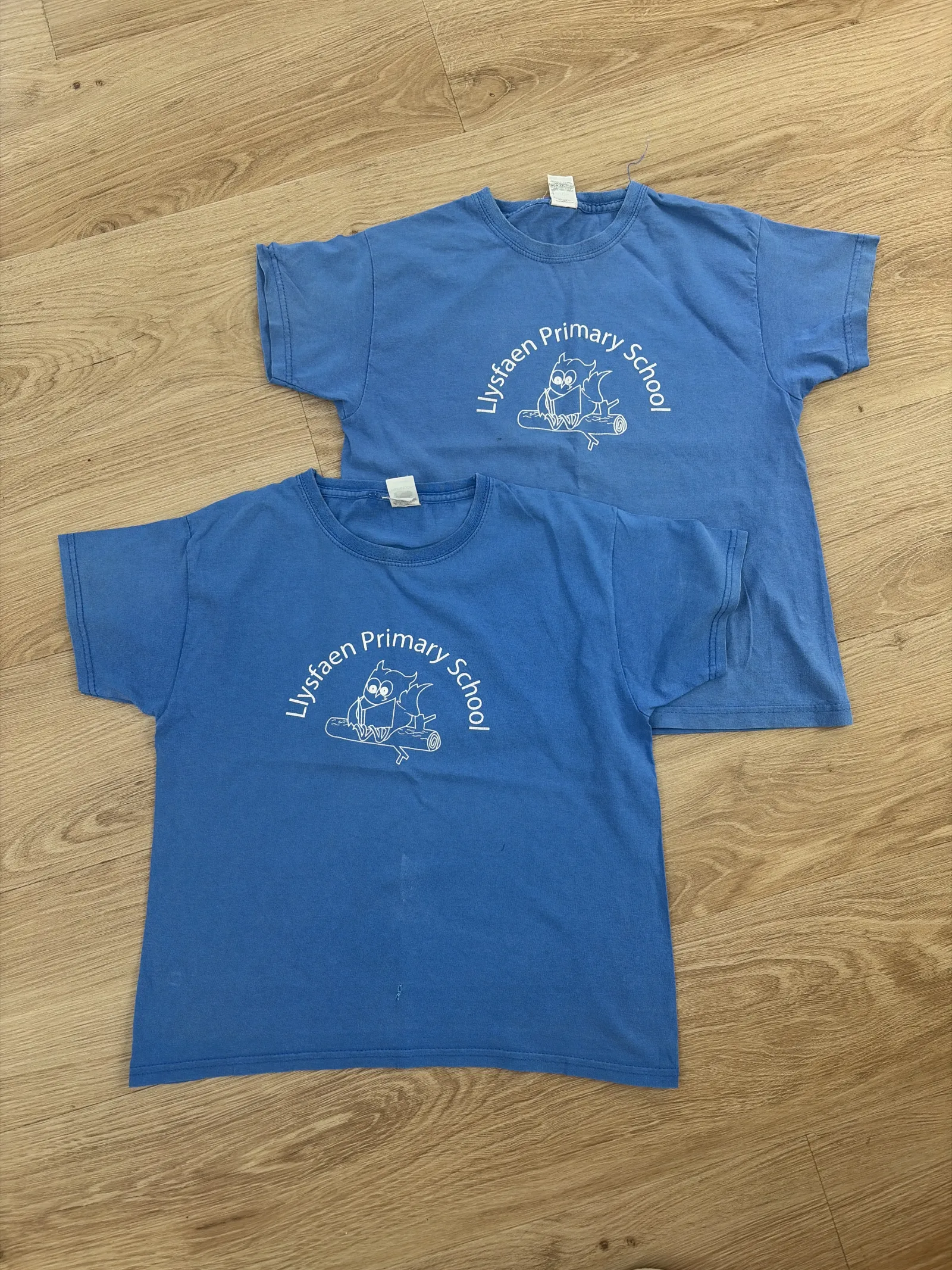 Llysfaen Primary Blue Ty Glas PE T-shirts Age 7-8