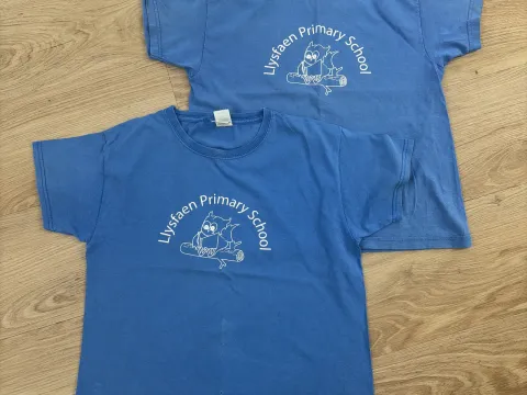 Llysfaen Primary Blue Ty Glas PE T-shirts Age 7-8