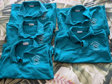 5 x polo shirts
