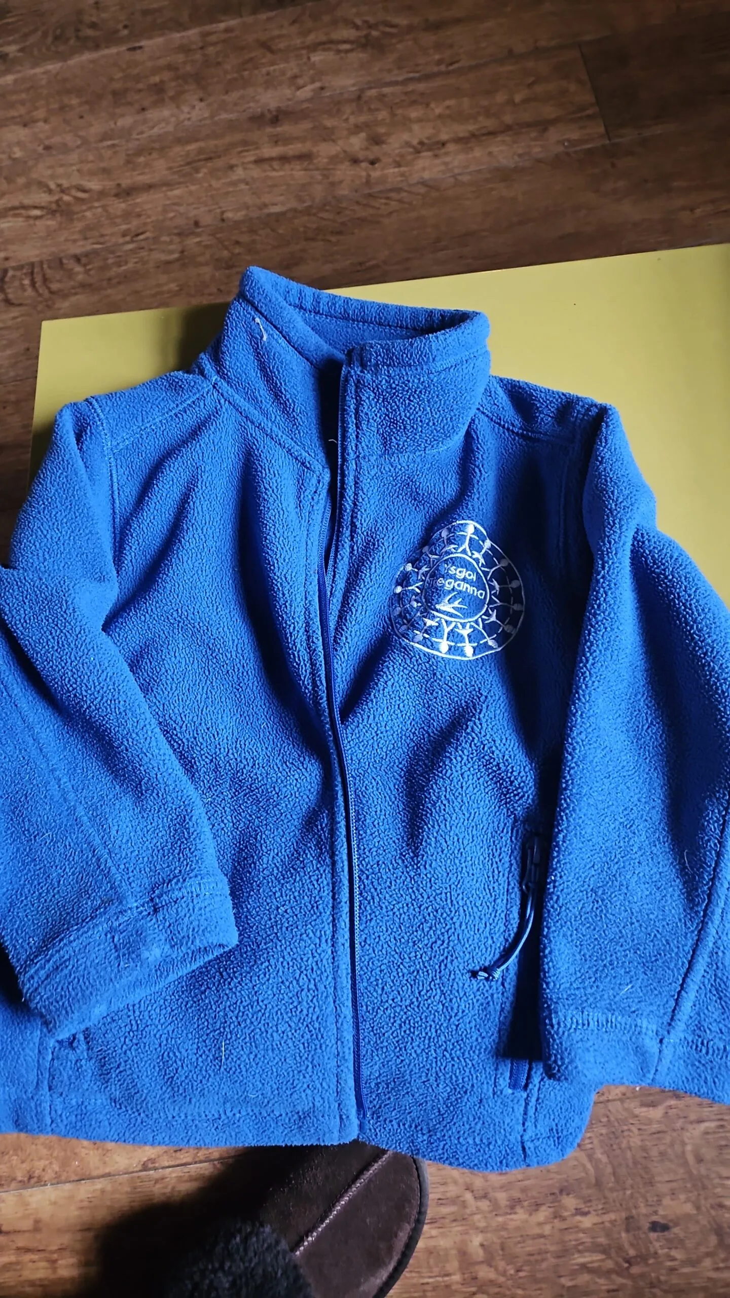 Ysgol Treganna badged fleece