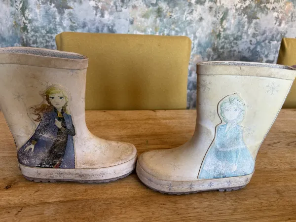 Wellies size 10: frozen. Very faded but still waterproof