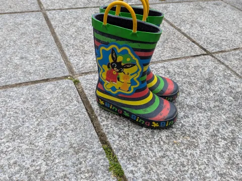 Bing Wellies