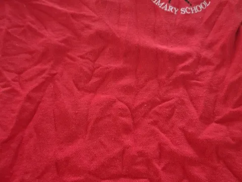 Aberaeron Primary School  polo shirt