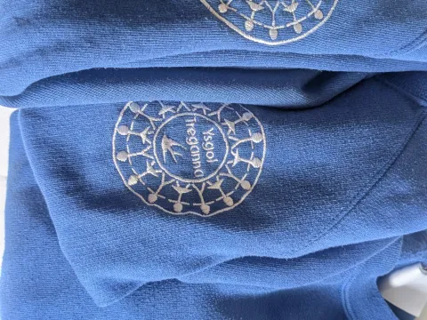 Ysgol Treganna sweatshirts x 3