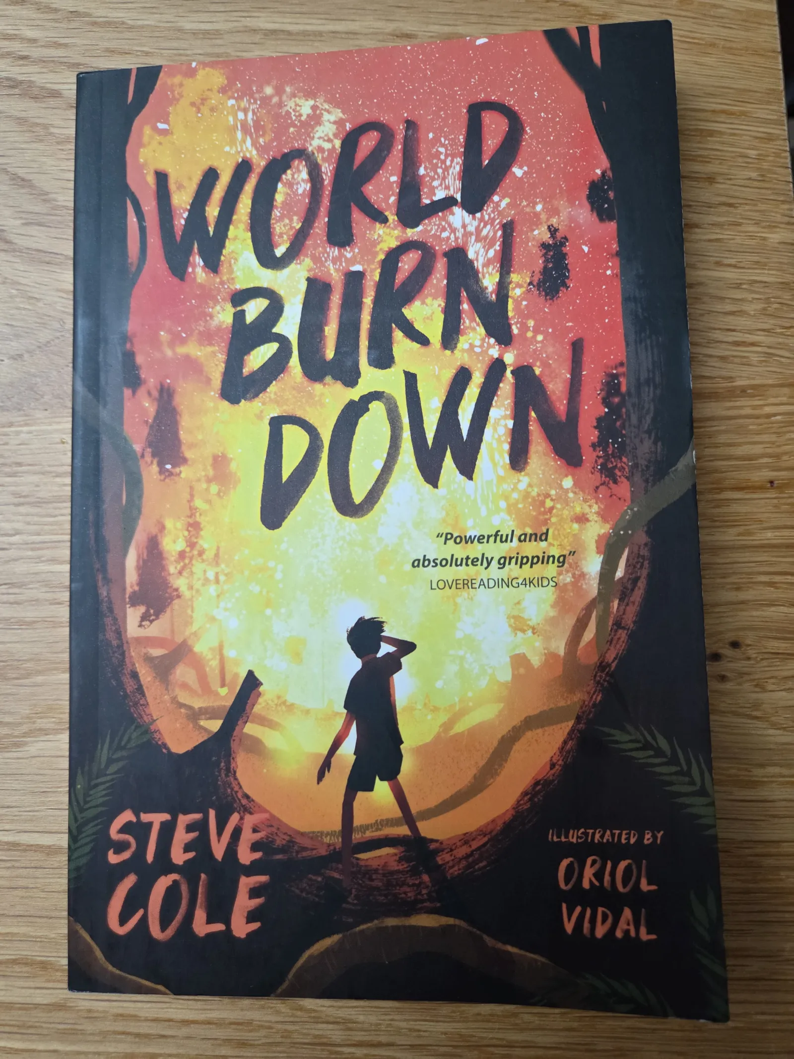 Dyslexia friendly book "World Burn Down"