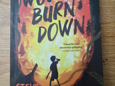 Dyslexia friendly book "World Burn Down"