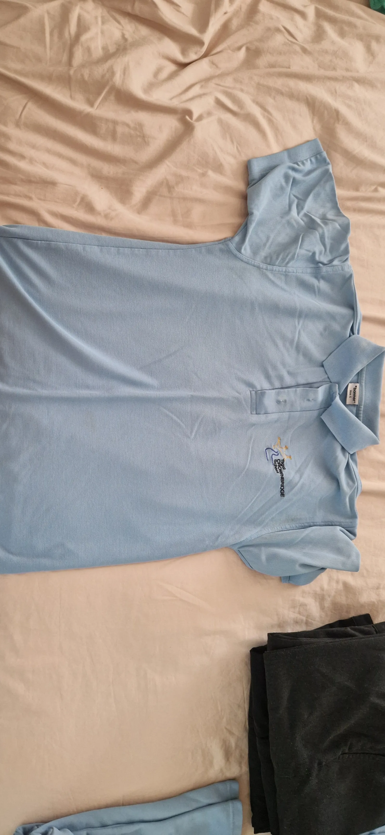 School polo shirt pale blue
