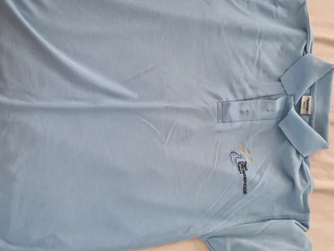 School polo shirt pale blue