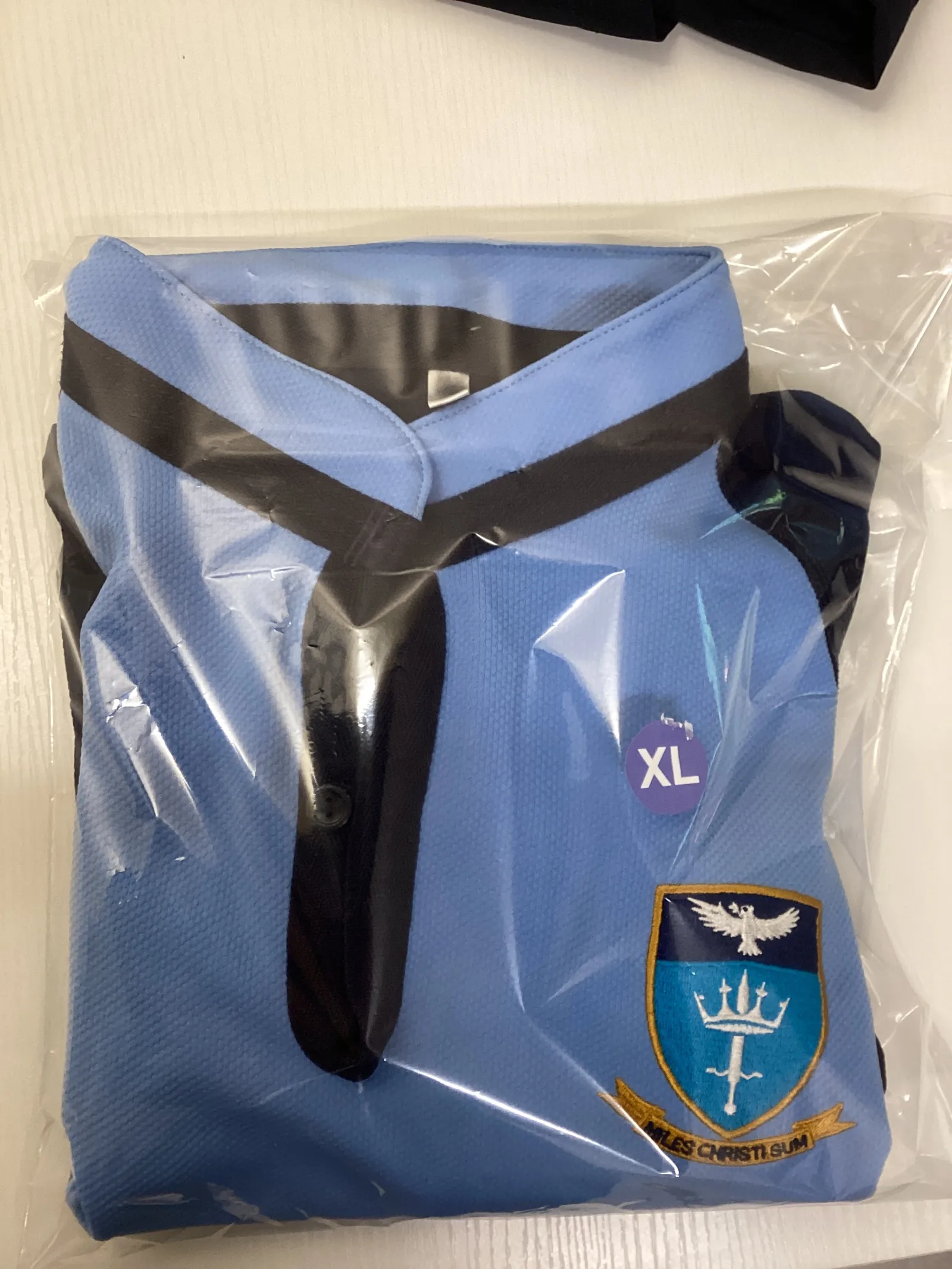 School rugby/games top
