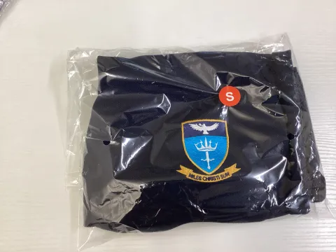 Navy PE shorts