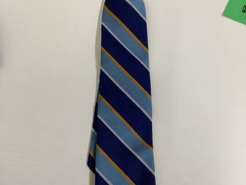 School tie