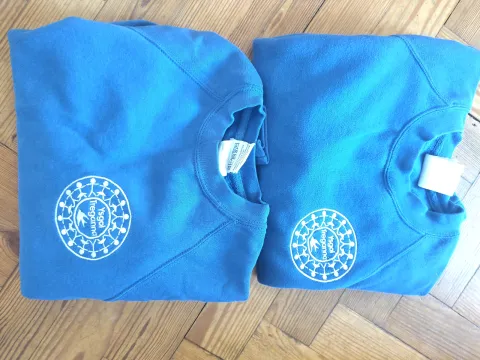 Blue Treganna Jumpers 9-10