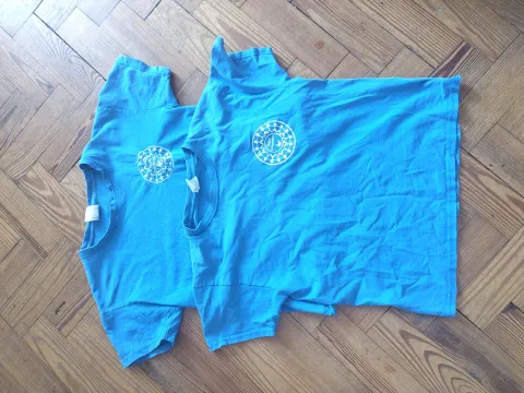 Old Style 100% Cotton Branwen T-Shirt