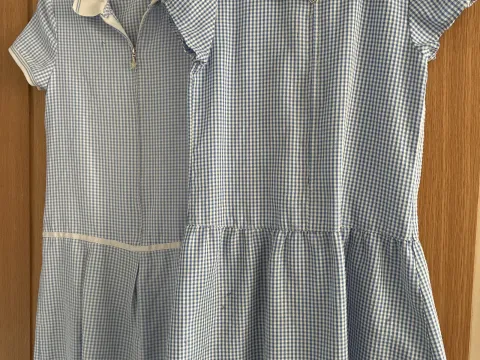 Two blue gingham dresses Age 8-9