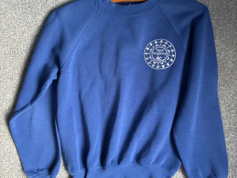 Treganna School Jumper with Logo Age 11
