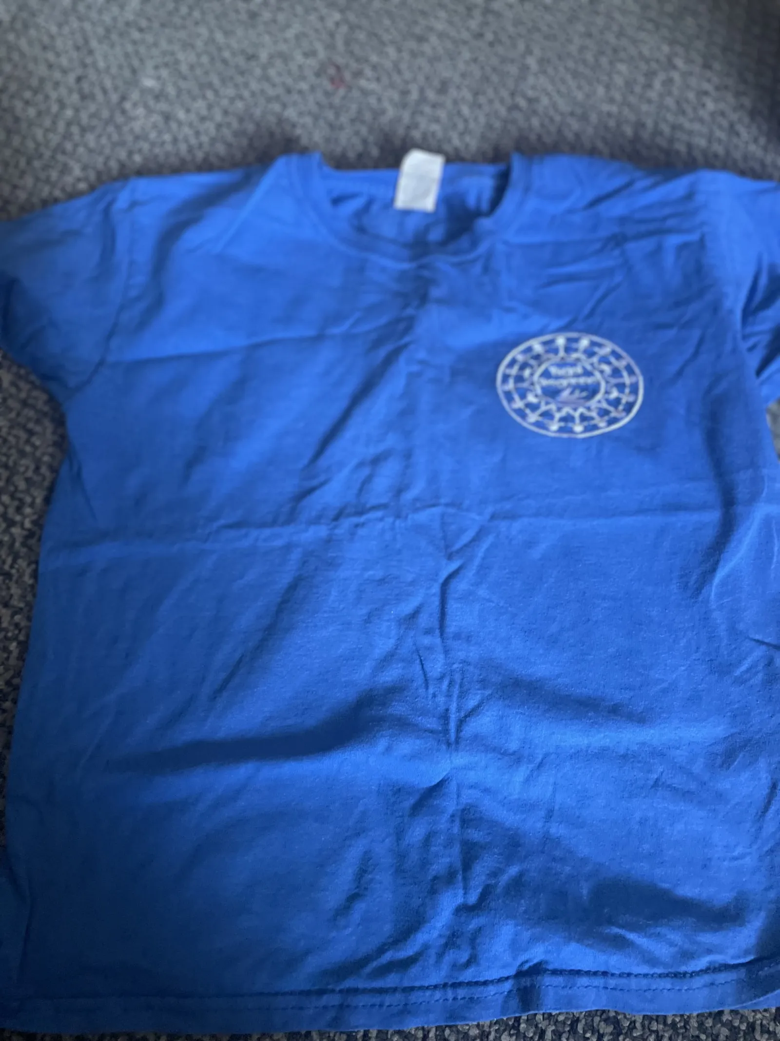 Pe Branwen t shirts (old style)