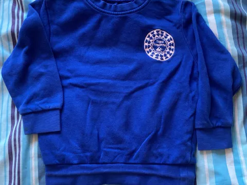Treganna jumper (age 3-4)