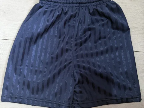 Navy pe shorts