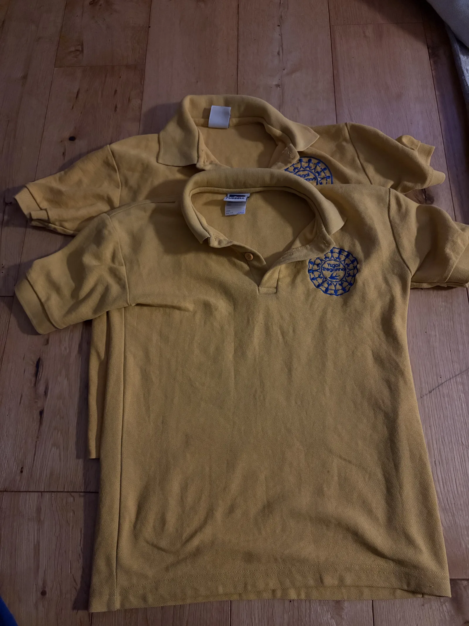 2 Ysgol Treganna polo shirts