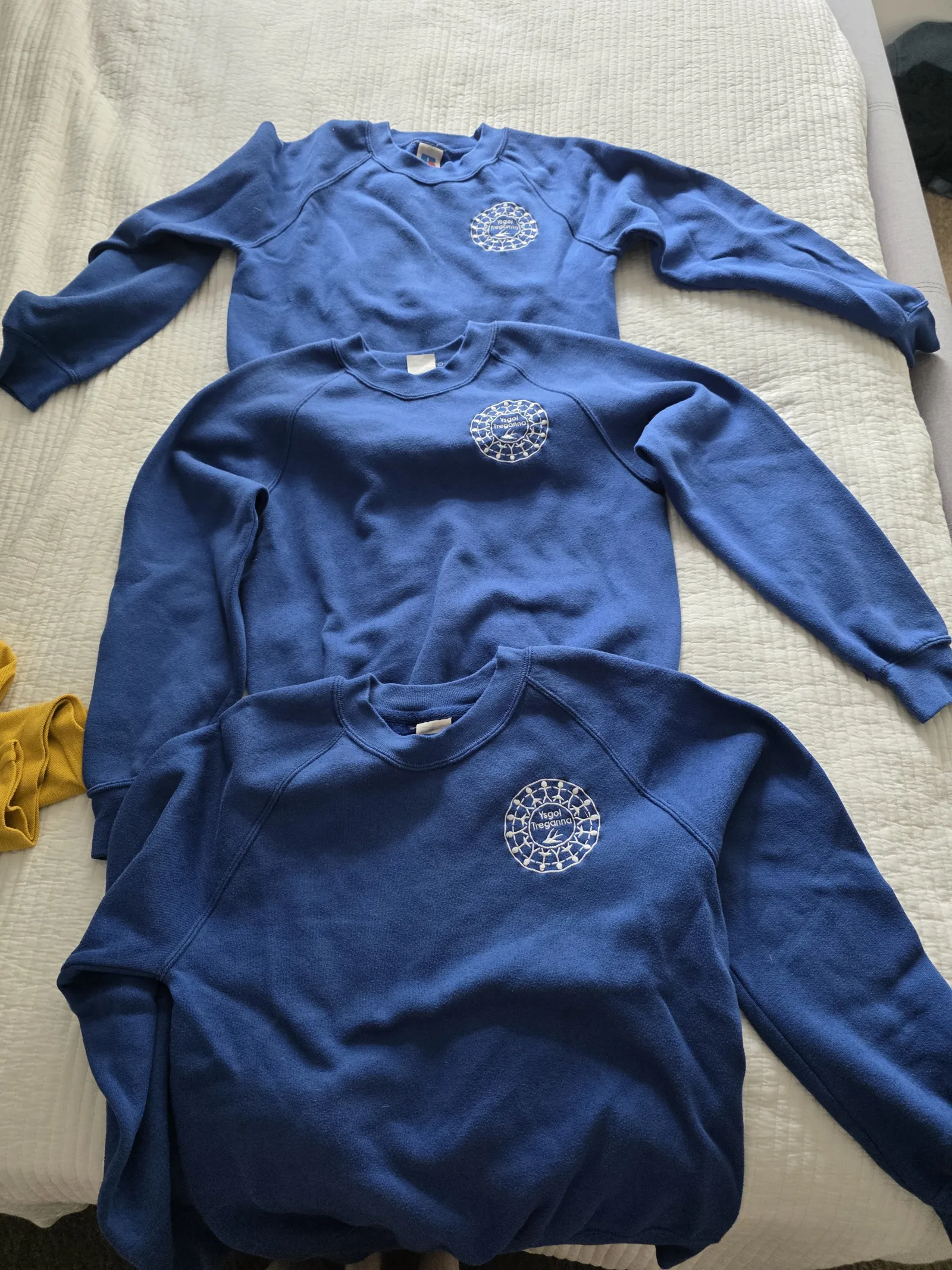 Blue ysgol treganna jumper