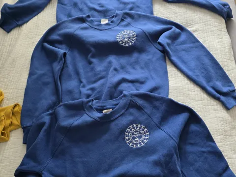 Blue ysgol treganna jumper